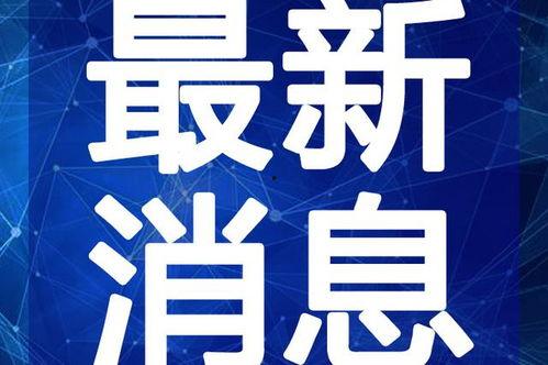 黄磊爆料学生视频大全最新,揭秘校园生活幕后真相