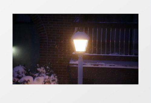 最新爆料暴雪视频下载,独家视频下载攻略揭秘
