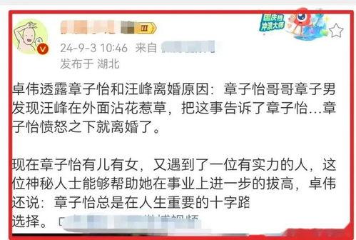 卓伟爆料章子怡最新消息,卓伟独家爆料揭秘  第3张