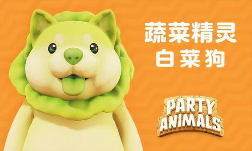 动物派对爆料视频,揭秘神秘派对幕后真相  第3张